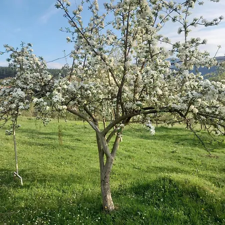 Kuca Za Odmor Milidrag